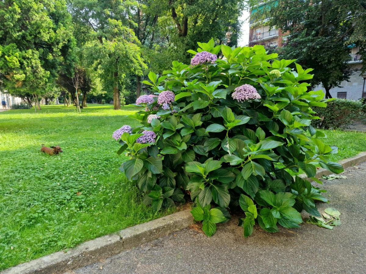 Giardino Sul Naviglio Διαμέρισμα Μιλάνο Εξωτερικό φωτογραφία
