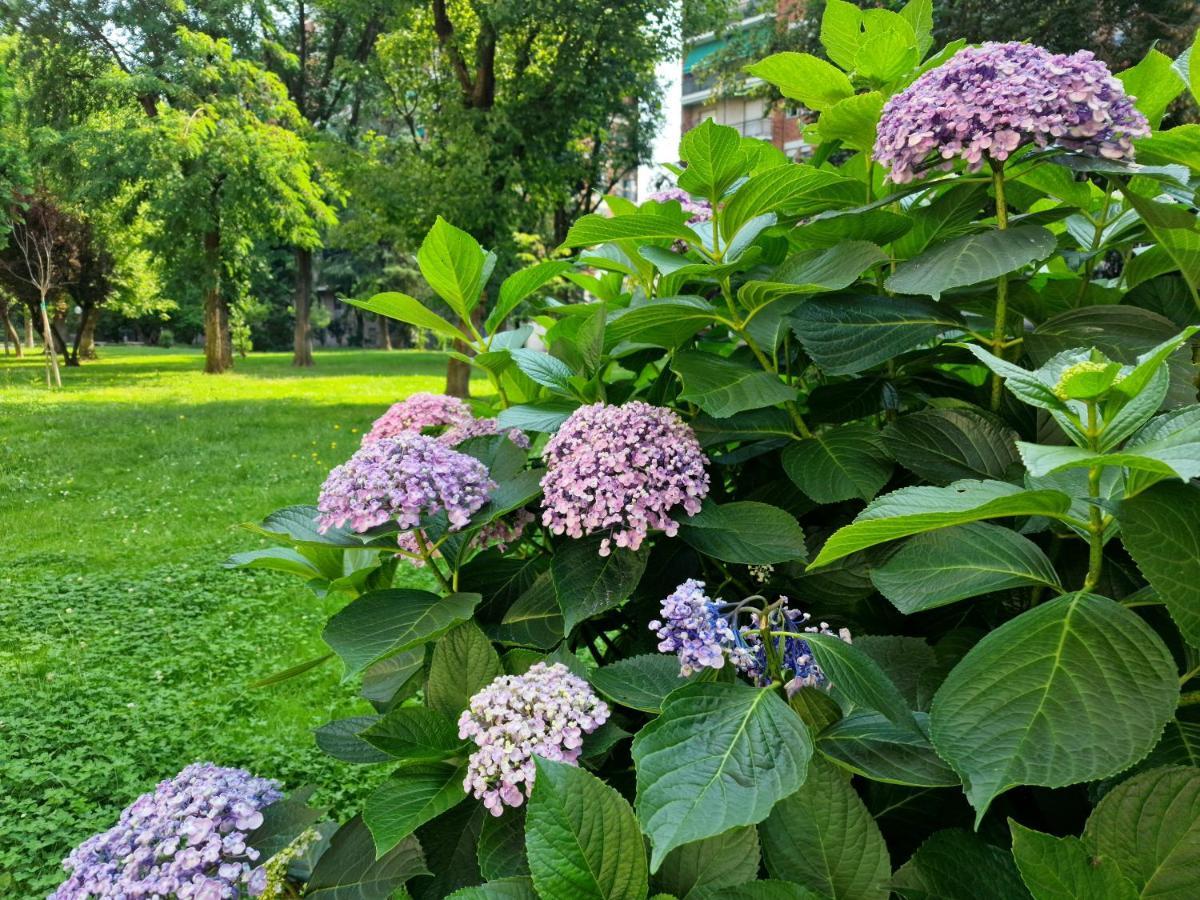 Giardino Sul Naviglio Διαμέρισμα Μιλάνο Εξωτερικό φωτογραφία